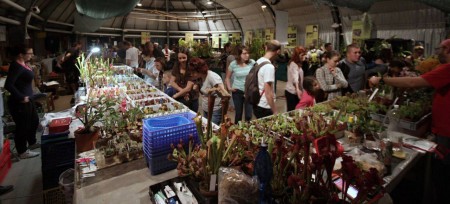 botanicka-zahrada-uk-praha-venkovni-a-sklenikova-expozice